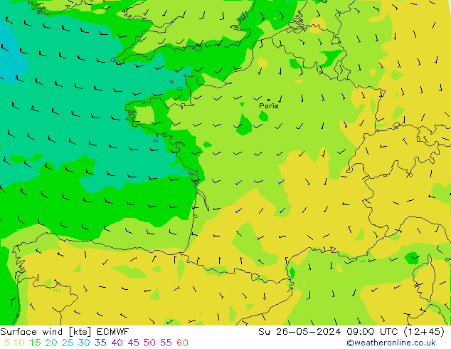 Rüzgar 10 m ECMWF Paz 26.05.2024 09 UTC