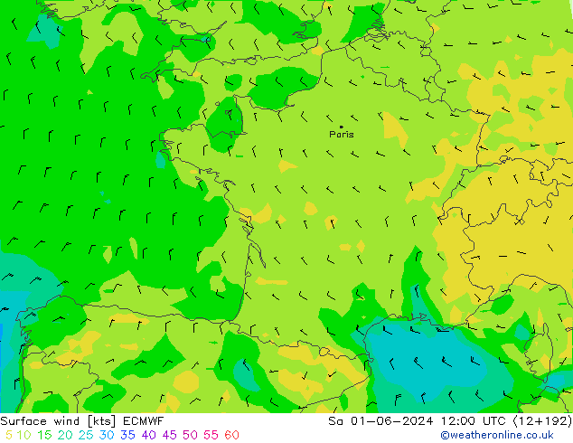 Viento 10 m ECMWF sáb 01.06.2024 12 UTC