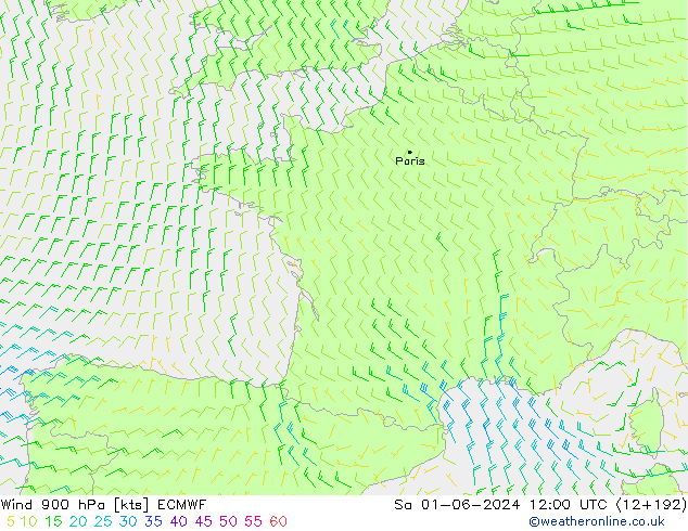 Wind 900 hPa ECMWF Sa 01.06.2024 12 UTC