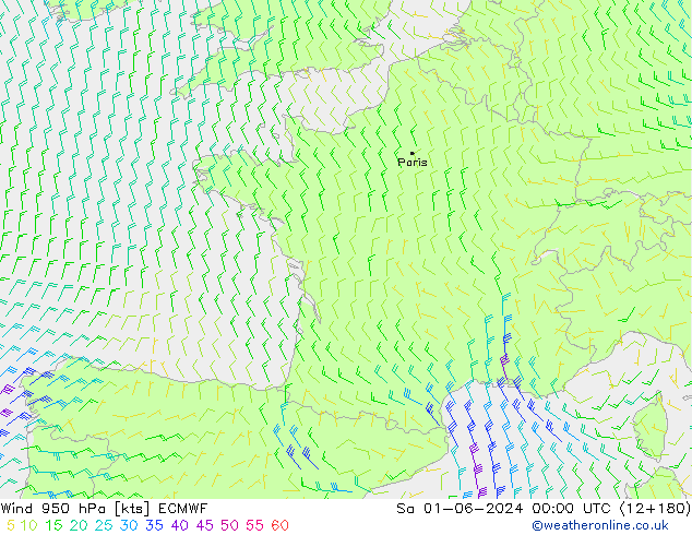 Rüzgar 950 hPa ECMWF Cts 01.06.2024 00 UTC