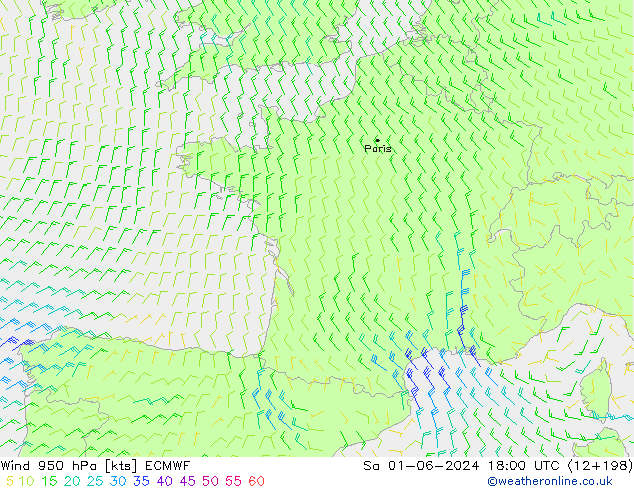 Rüzgar 950 hPa ECMWF Cts 01.06.2024 18 UTC