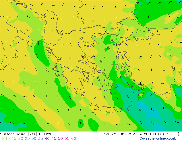 Surface wind ECMWF Sa 25.05.2024 00 UTC