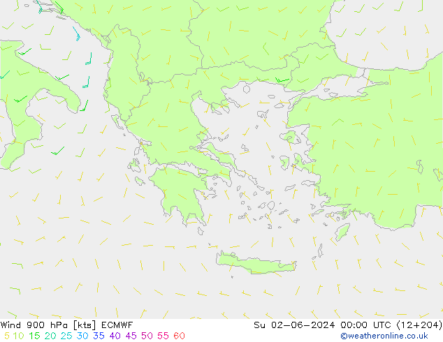 Wind 900 hPa ECMWF Ne 02.06.2024 00 UTC