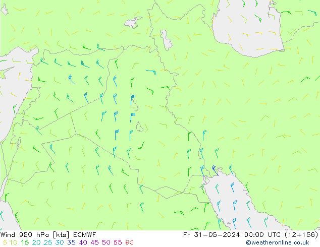 Wind 950 hPa ECMWF Fr 31.05.2024 00 UTC