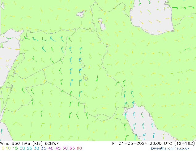  950 hPa ECMWF  31.05.2024 06 UTC