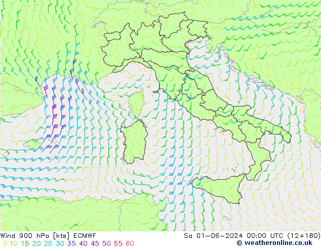 Rüzgar 900 hPa ECMWF Cts 01.06.2024 00 UTC