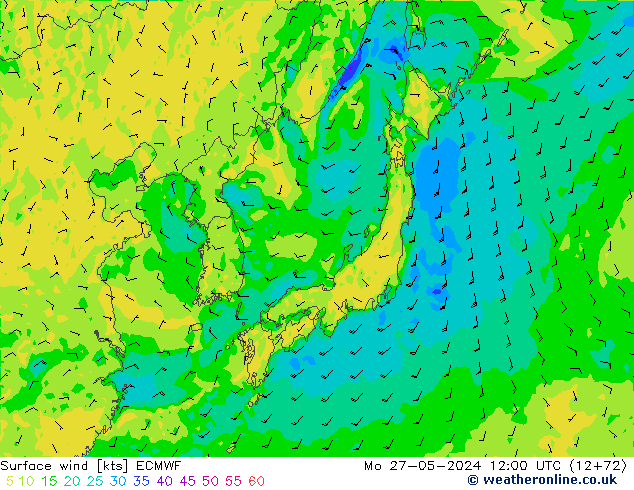  10 m ECMWF  27.05.2024 12 UTC