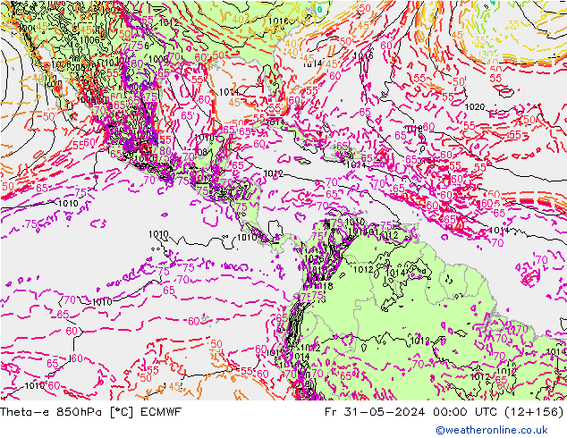 Theta-e 850гПа ECMWF пт 31.05.2024 00 UTC