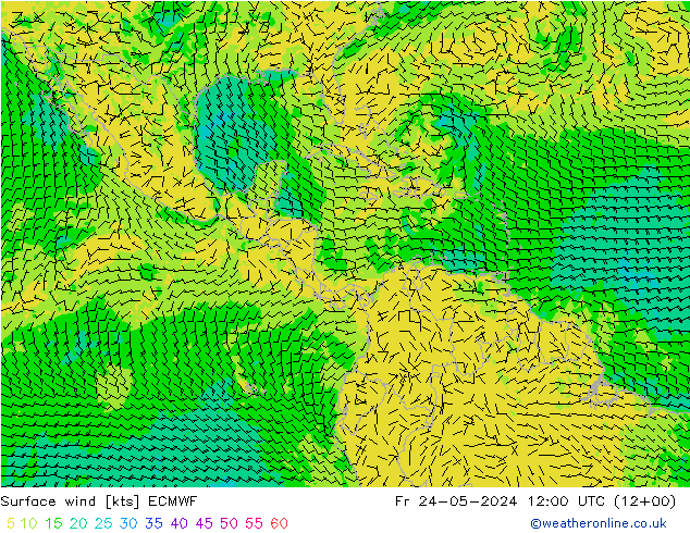 Surface wind ECMWF Fr 24.05.2024 12 UTC