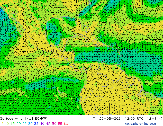 Surface wind ECMWF Th 30.05.2024 12 UTC