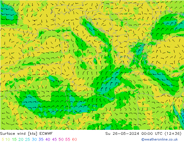 Surface wind ECMWF Ne 26.05.2024 00 UTC