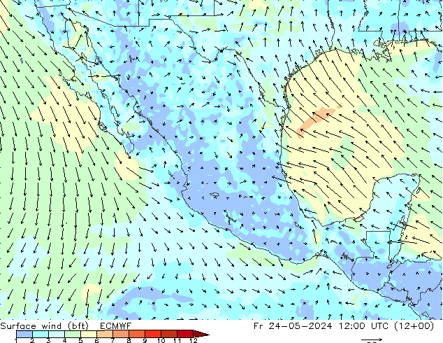 Wind 10 m (bft) ECMWF vr 24.05.2024 12 UTC