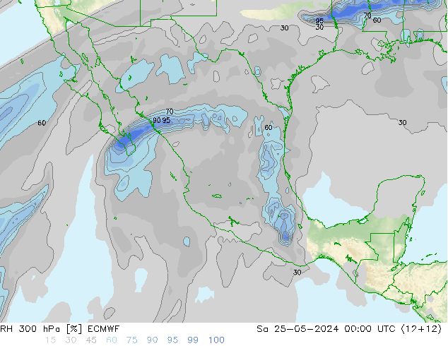 RH 300 hPa ECMWF Sáb 25.05.2024 00 UTC