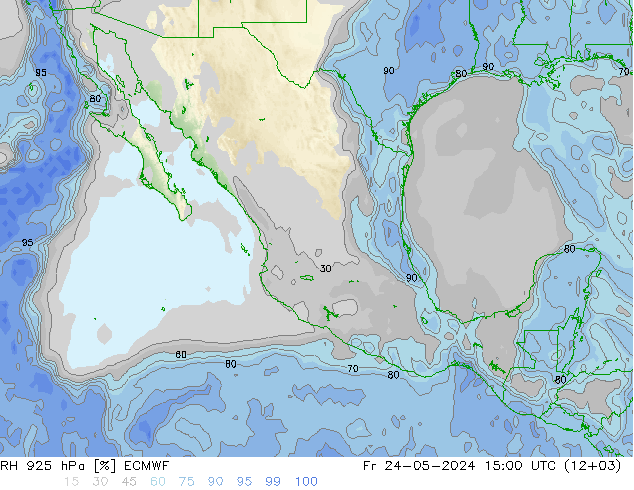 RH 925 гПа ECMWF пт 24.05.2024 15 UTC