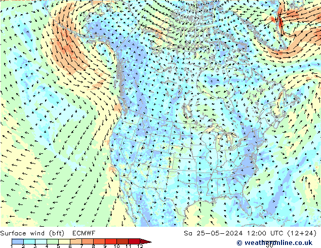 Surface wind (bft) ECMWF So 25.05.2024 12 UTC