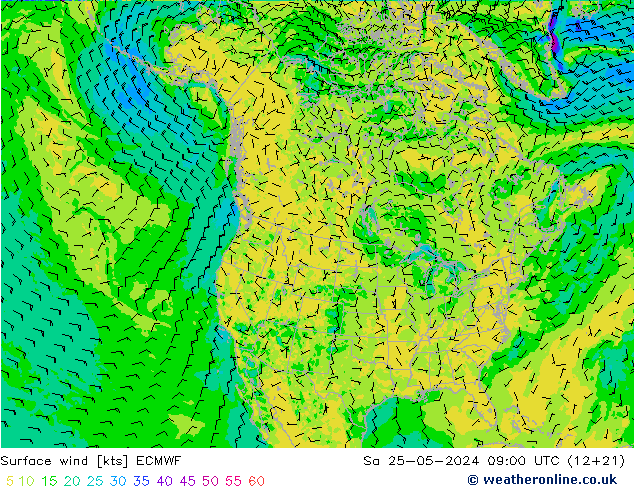 Bodenwind ECMWF Sa 25.05.2024 09 UTC