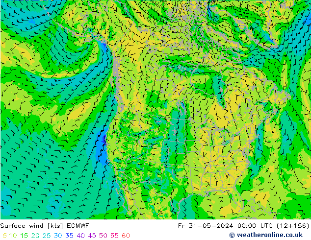 Surface wind ECMWF Fr 31.05.2024 00 UTC