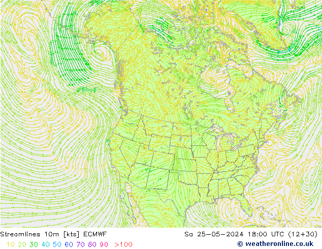 Streamlines 10m ECMWF So 25.05.2024 18 UTC