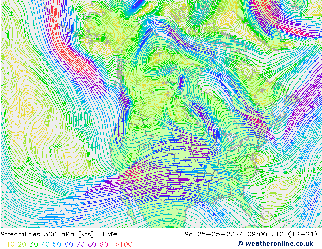 Ligne de courant 300 hPa ECMWF sam 25.05.2024 09 UTC