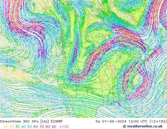 Streamlines 300 hPa ECMWF Sa 01.06.2024 12 UTC