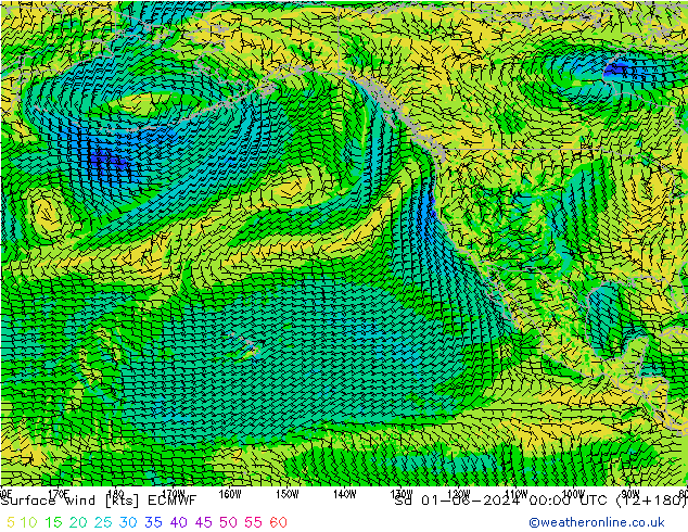 Surface wind ECMWF Sa 01.06.2024 00 UTC