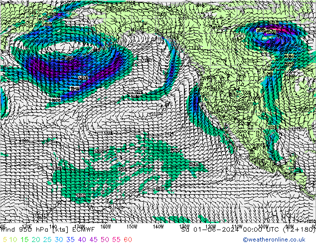 Wind 950 hPa ECMWF Sa 01.06.2024 00 UTC