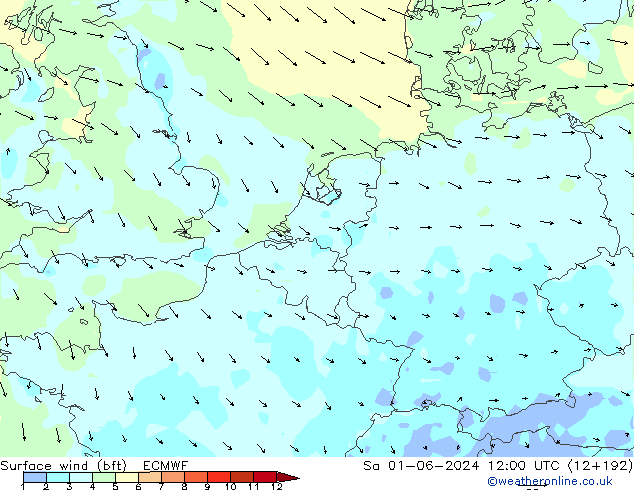 Vent 10 m (bft) ECMWF sam 01.06.2024 12 UTC