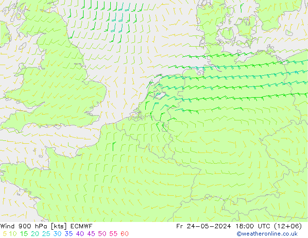 Viento 900 hPa ECMWF vie 24.05.2024 18 UTC