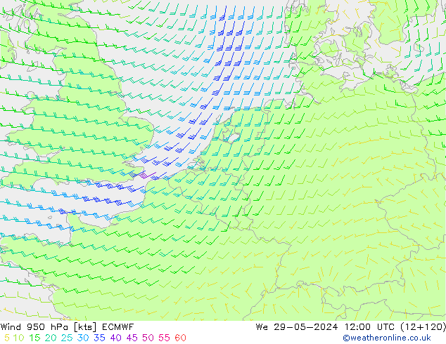 ветер 950 гПа ECMWF ср 29.05.2024 12 UTC