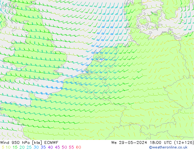 Rüzgar 950 hPa ECMWF Çar 29.05.2024 18 UTC