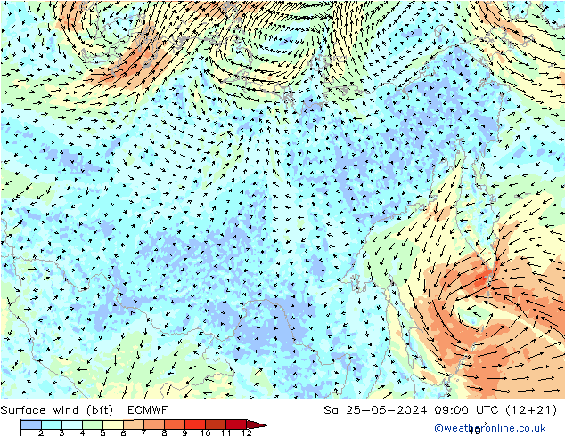 Surface wind (bft) ECMWF Sa 25.05.2024 09 UTC