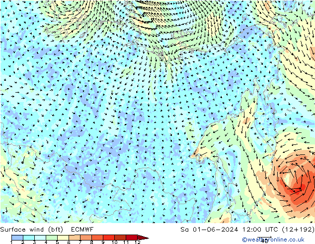 wiatr 10 m (bft) ECMWF so. 01.06.2024 12 UTC