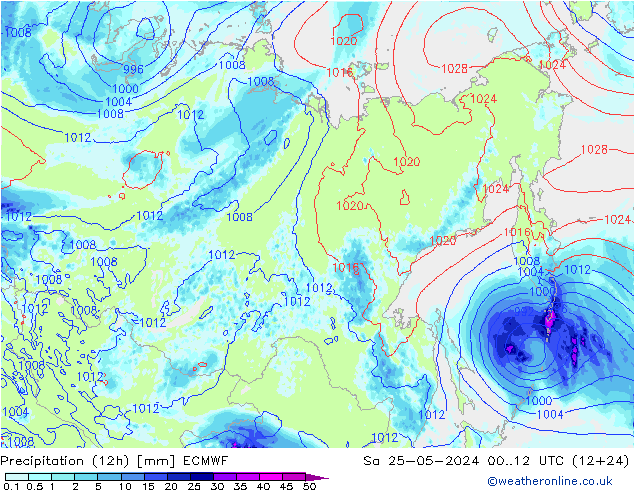 Precipitação (12h) ECMWF Sáb 25.05.2024 12 UTC