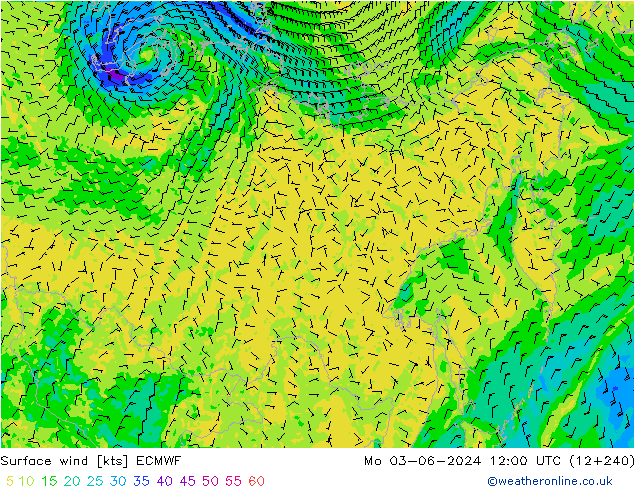 Surface wind ECMWF Po 03.06.2024 12 UTC