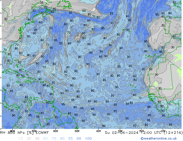 RH 850 hPa ECMWF  02.06.2024 12 UTC