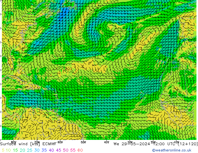 Wind 10 m ECMWF wo 29.05.2024 12 UTC