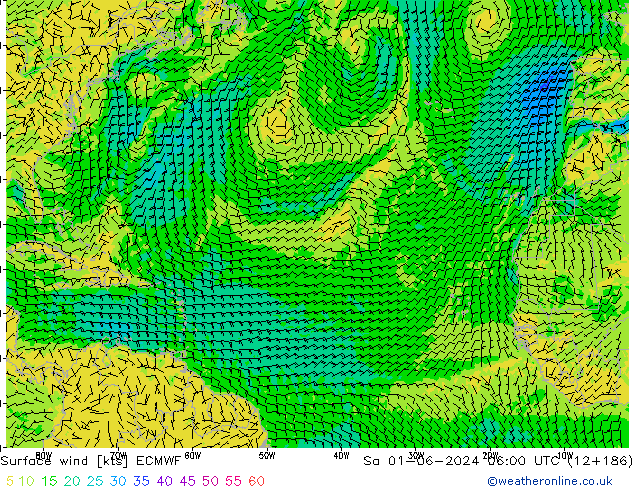 Bodenwind ECMWF Sa 01.06.2024 06 UTC