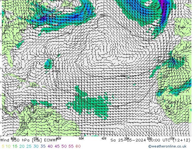 wiatr 950 hPa ECMWF so. 25.05.2024 00 UTC