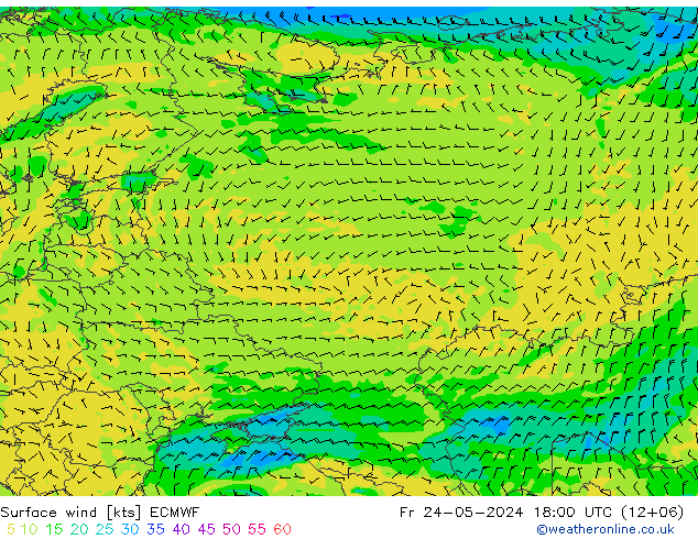 Wind 10 m ECMWF vr 24.05.2024 18 UTC