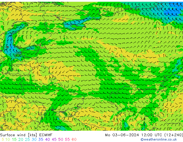 Vento 10 m ECMWF Seg 03.06.2024 12 UTC