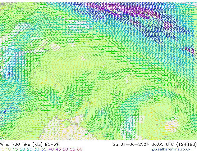 ветер 700 гПа ECMWF сб 01.06.2024 06 UTC