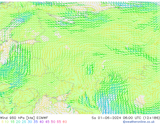 ветер 950 гПа ECMWF сб 01.06.2024 06 UTC