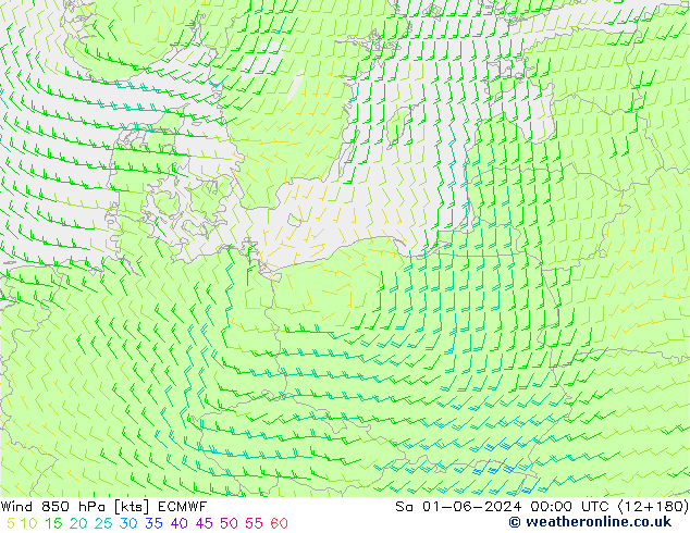 Wind 850 hPa ECMWF Sa 01.06.2024 00 UTC