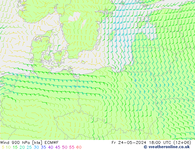 Wind 900 hPa ECMWF Fr 24.05.2024 18 UTC