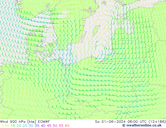 Wind 900 hPa ECMWF za 01.06.2024 06 UTC