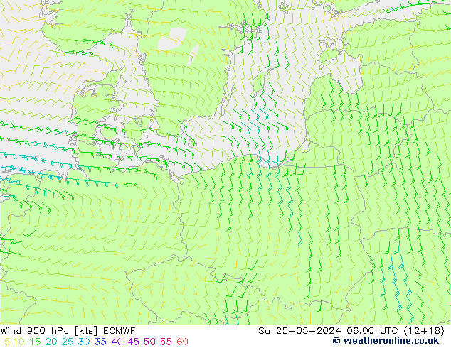 Wind 950 hPa ECMWF Sa 25.05.2024 06 UTC