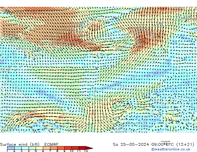 Viento 10 m (bft) ECMWF sáb 25.05.2024 09 UTC