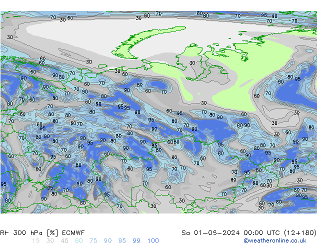 RH 300 hPa ECMWF Sa 01.06.2024 00 UTC