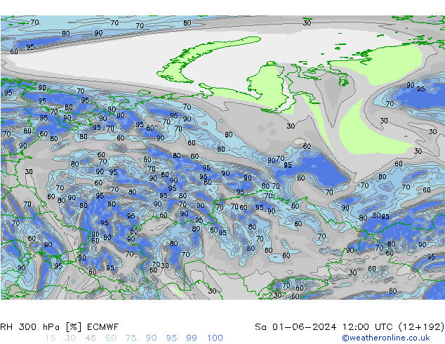 RV 300 hPa ECMWF za 01.06.2024 12 UTC