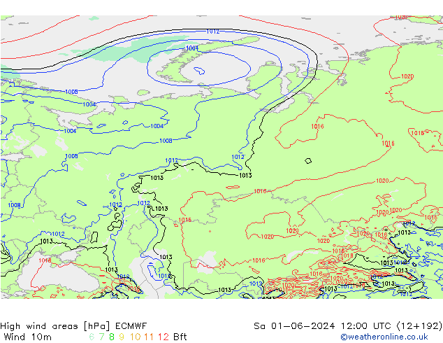 High wind areas ECMWF sáb 01.06.2024 12 UTC